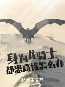 网配之穿梭机