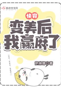 精灵之强者训练家
