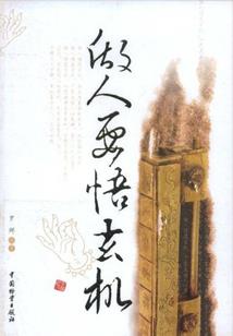 大宋之梦回绍兴三十年