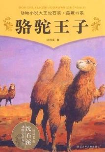 倾世独宠神医陌妃