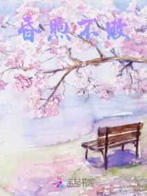等风吹过你的眼