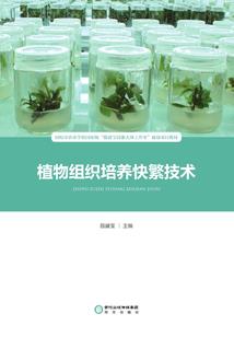 极品兵王俏校花