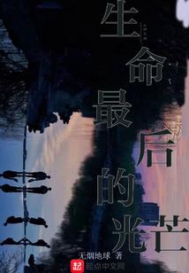 正统修真记