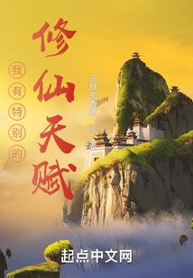 光与暗的双子之星