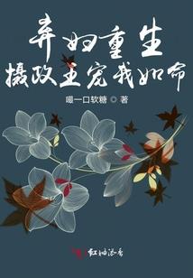 晓月骑士