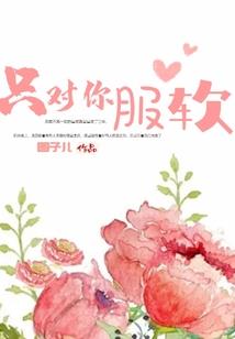 陈风修仙传