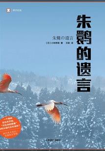中华记事