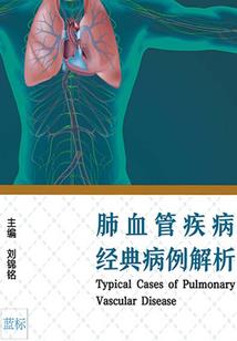 黑衣人警探