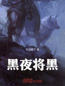 穿梦之羽