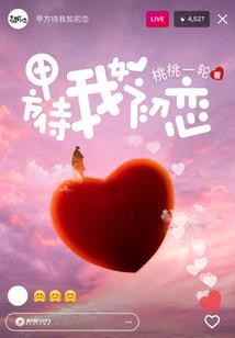 旺财去哪