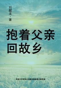 穿越之瑾譞王妃