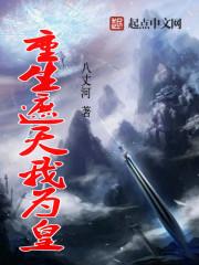 武道极路