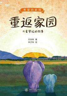 斗战星宇