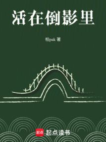 西风极