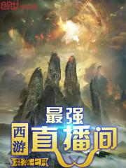 沈晟出事