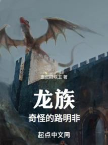 聚合灵变系统