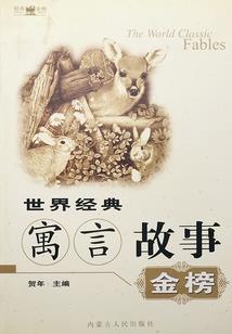 梦霜浮华