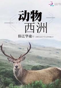 嗜宠萌妻