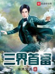 天才圣魔导师