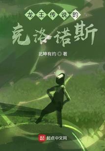 孤世高手