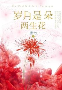 铠甲勇士之保卫