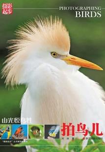 树树成林