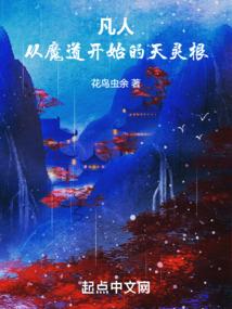 天上掉个假系统