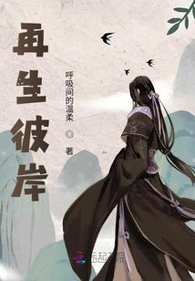 重生之凌风传奇