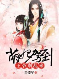 风吟鹤舞