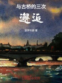 网游之秘影刺客