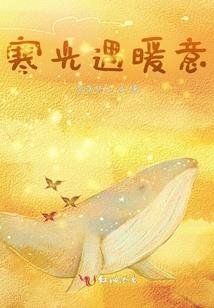 相遇恨早