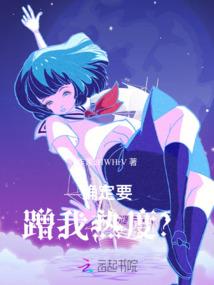 风骑士