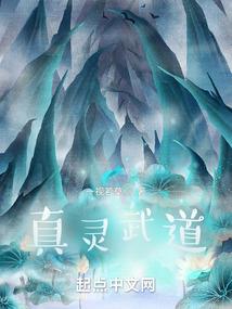 潜翔九天