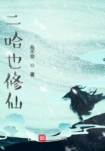 海贼王之副船长兰卡