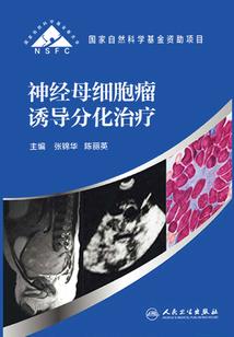 抬头你已不见