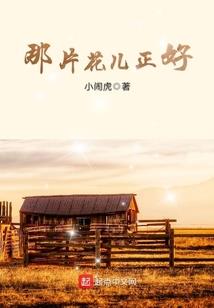 创世泰拉
