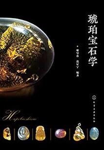 史上最强家族之实验体天使