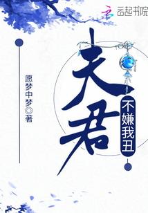 妖孽总裁兜转的爱情
