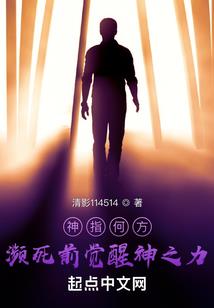 少年枪手