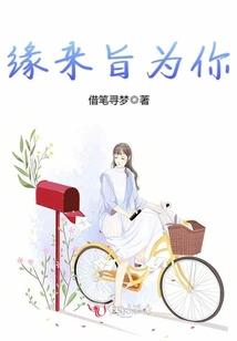 热血特警王妃