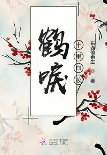 傲娇总裁的国民女神
