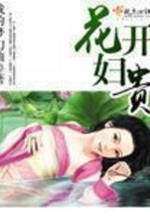 冷酷殿下的流氓妃