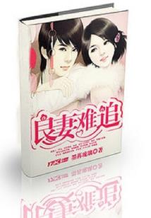 来自鲜卑的他(合作)