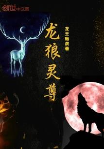 都市至尊大领主