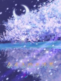 圣魔光石之枪王