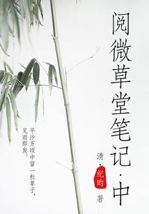 狐思乱想