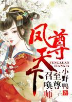 定穴分金卷一之青藏陵墓
