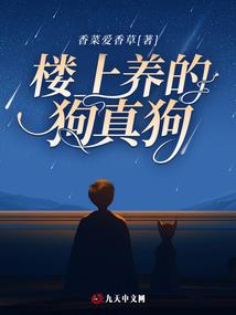 穿越霸宠小萌妃