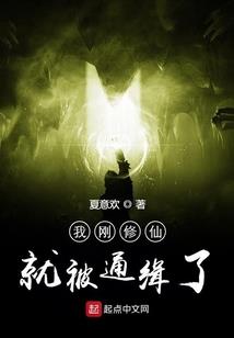 火影之止水华年