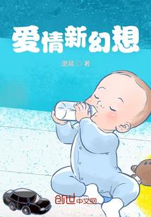 岚之侠